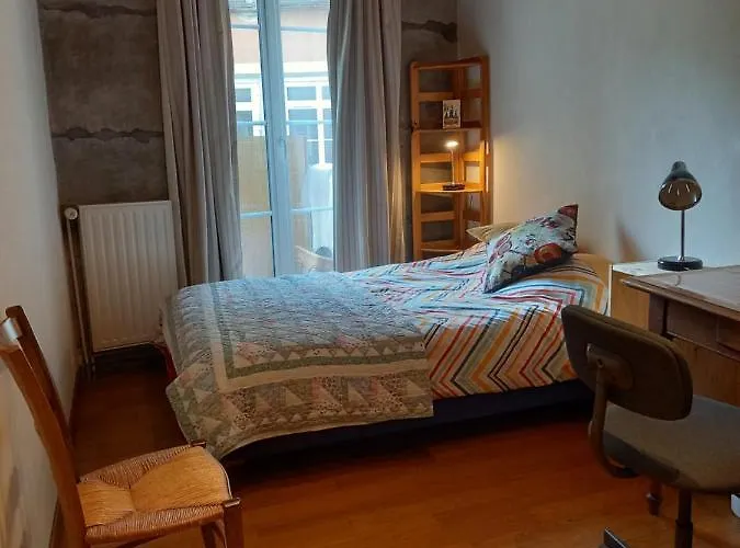 Chambre Chez L\'Habitant, Room For Rent At Host\'S Appartement